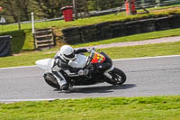 anglesey;brands-hatch;cadwell-park;croft;donington-park;enduro-digital-images;event-digital-images;eventdigitalimages;mallory;no-limits;oulton-park;peter-wileman-photography;racing-digital-images;silverstone;snetterton;trackday-digital-images;trackday-photos;vmcc-banbury-run;welsh-2-day-enduro